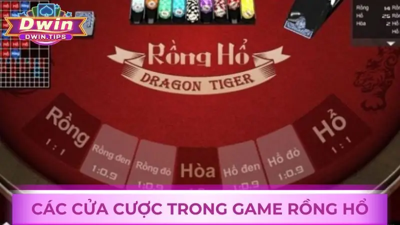 Các cửa cược phổ biến tại bàn cược Rồng Hổ anh em cần biết