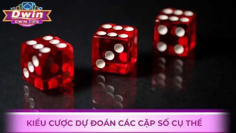 Kiểu cược dự đoán các cặp số cụ thể 