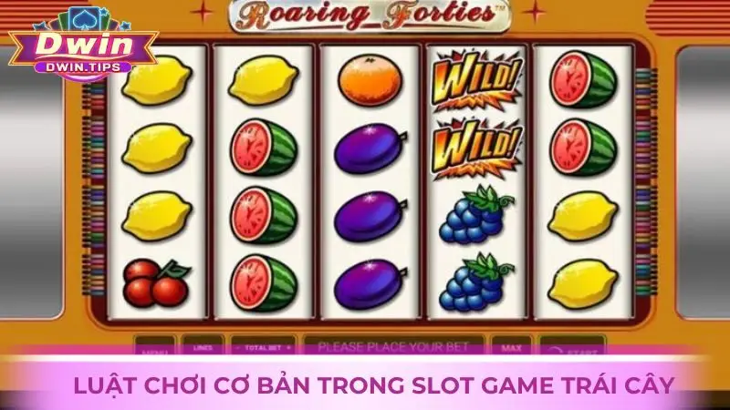 Luật chơi trong Slot game Trái Cây tại Dwin