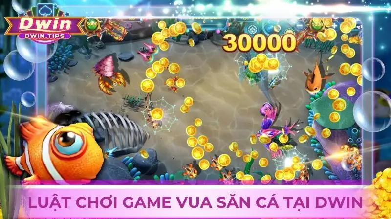 Quy định về luật chơi game đổi thưởng Vua Săn Cá online