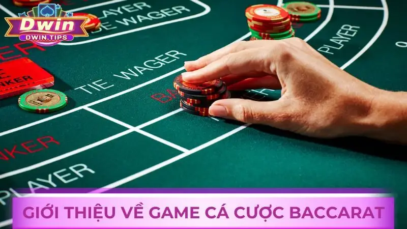 Tham gia so điểm cùng nhà cái với các ván cược Baccarat tại Dwin